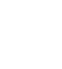 Company mission